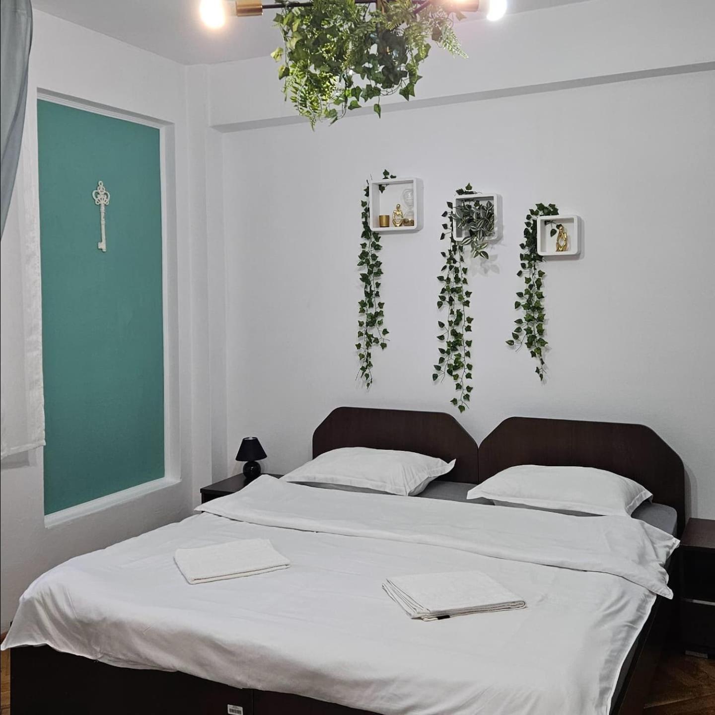 Apartment Zarnesti City Centre Vmp Free Parking Buitenkant foto