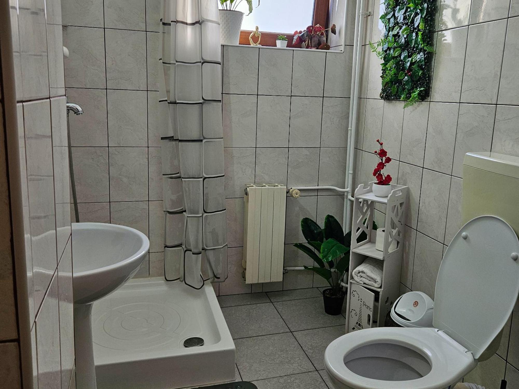Apartment Zarnesti City Centre Vmp Free Parking Buitenkant foto